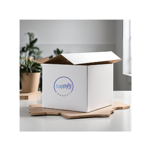 GB Box (1)
