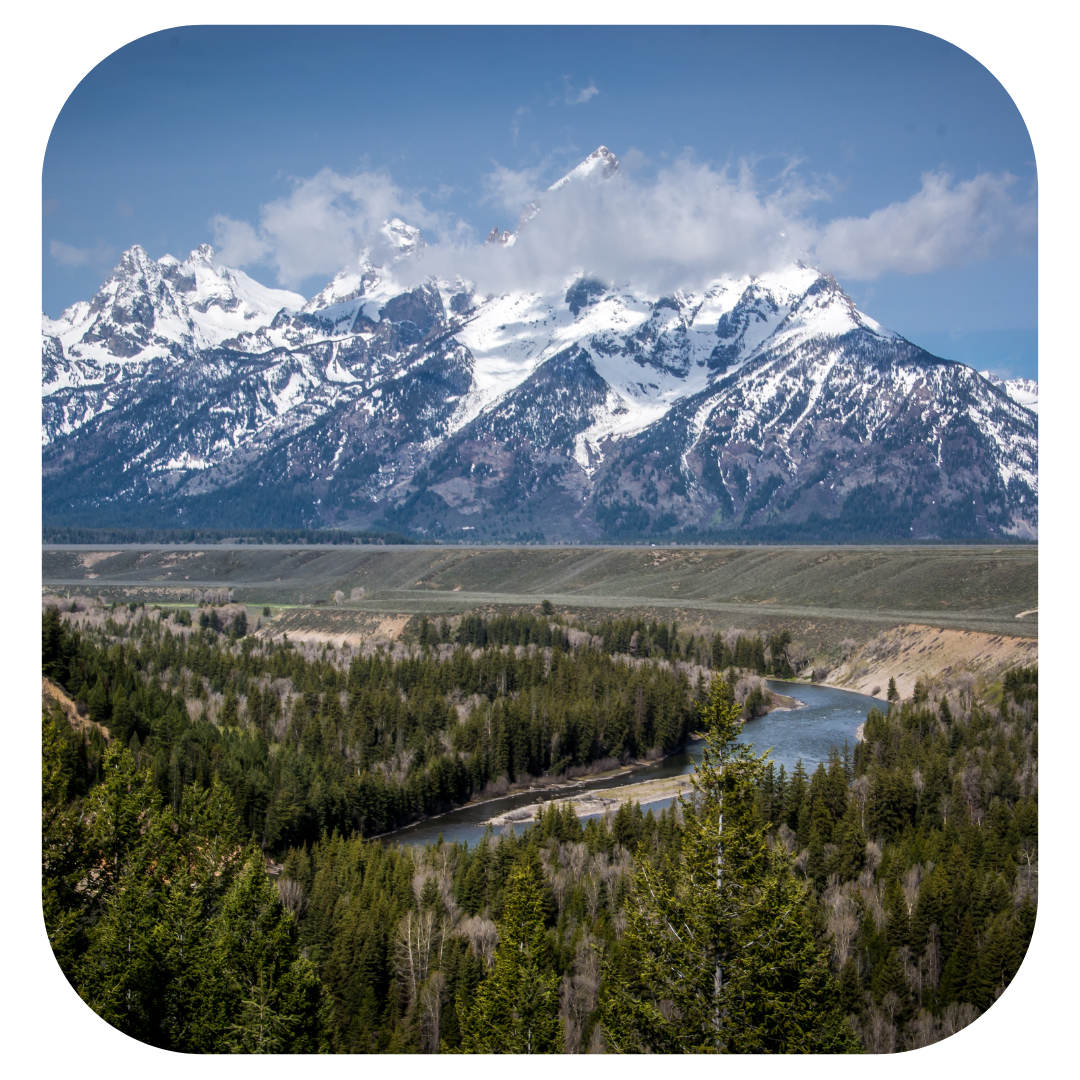 grand tetons