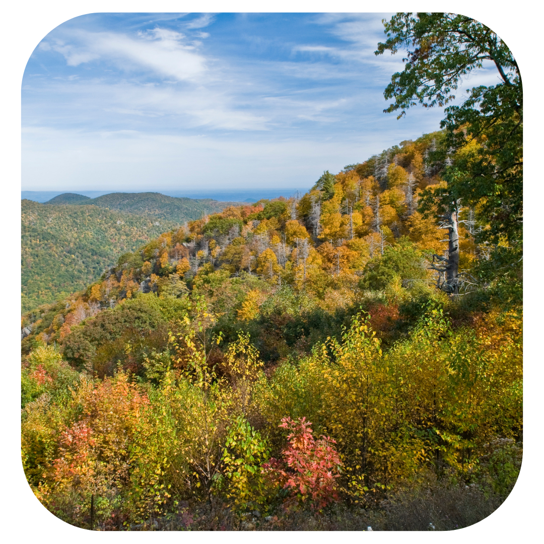 shenandoah shenandoah